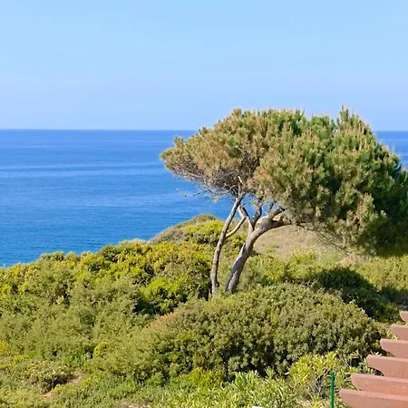 Casa Amalia *